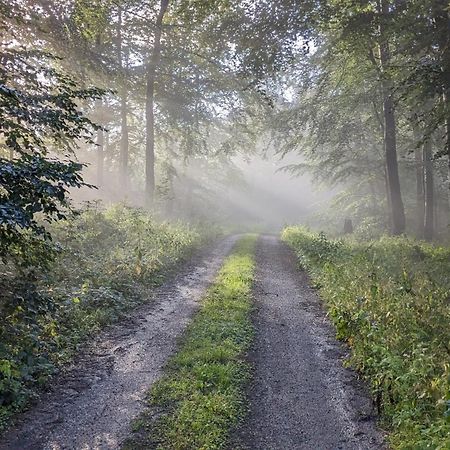 Ferienwohnung Rumbeck Hessisch Oldendorf Bagian luar foto
