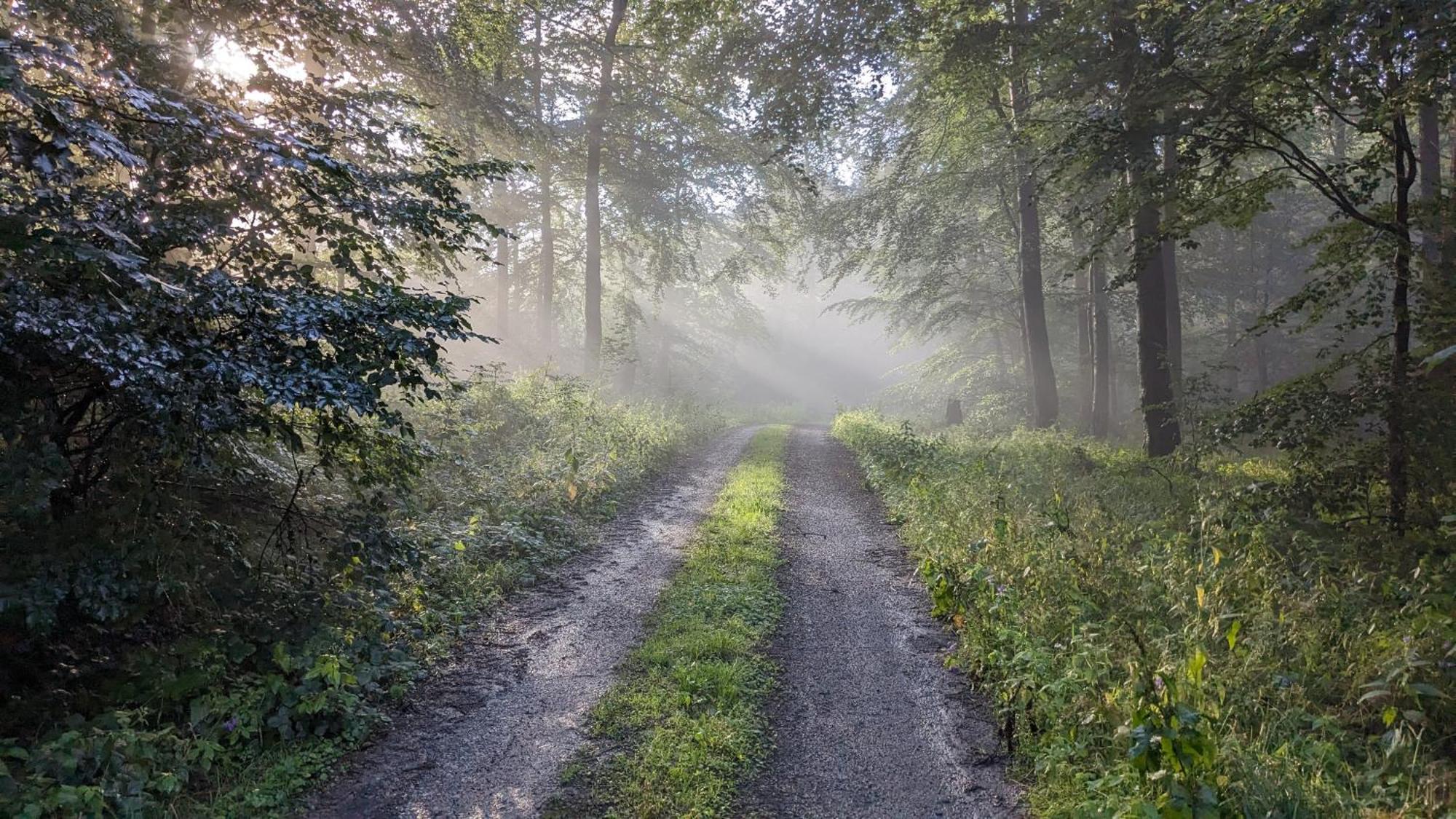 Ferienwohnung Rumbeck Hessisch Oldendorf Bagian luar foto